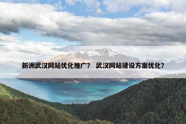 新洲武汉网站优化推广？ 武汉网站建设方案优化？