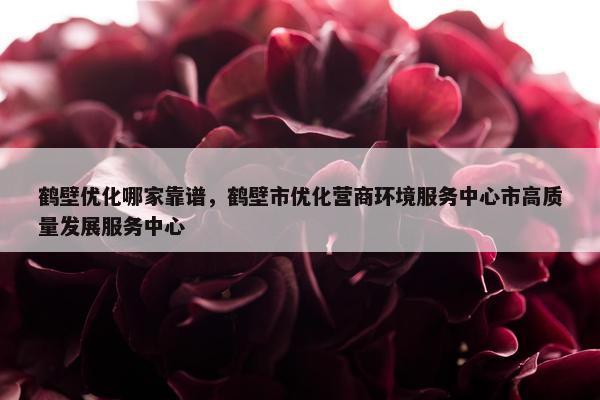鹤壁优化哪家靠谱，鹤壁市优化营商环境服务中心市高质量发展服务中心