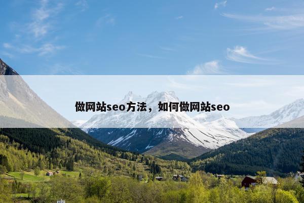 做网站seo方法，如何做网站seo