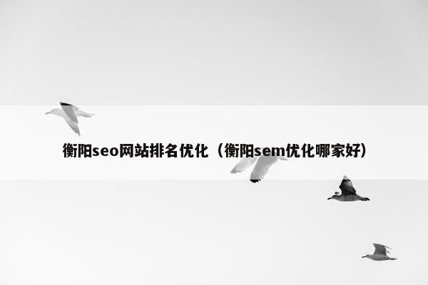 衡阳seo网站排名优化（衡阳sem优化哪家好）
