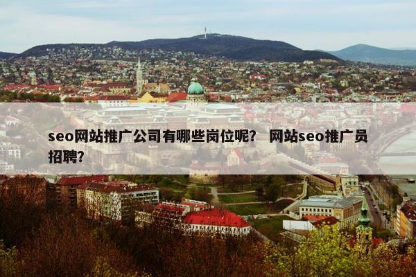 seo网站推广公司有哪些岗位呢？ 网站seo推广员招聘？