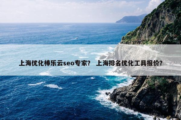 上海优化棒乐云seo专家？ 上海排名优化工具报价？