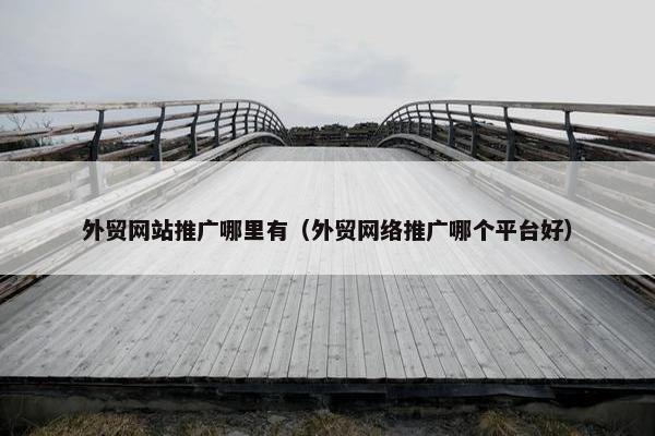 外贸网站推广哪里有（外贸网络推广哪个平台好）