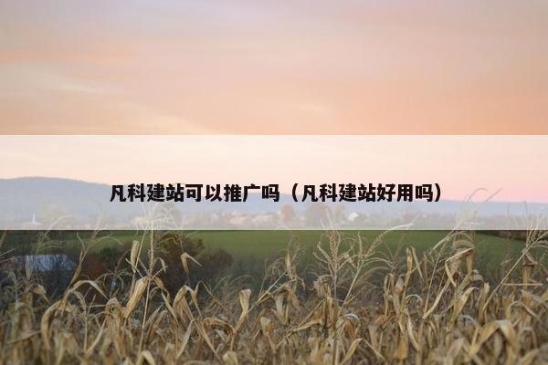 凡科建站可以推广吗（凡科建站好用吗）