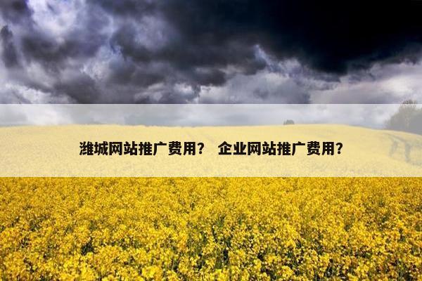 潍城网站推广费用？ 企业网站推广费用？