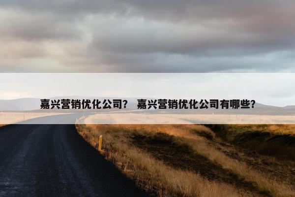嘉兴营销优化公司？ 嘉兴营销优化公司有哪些？