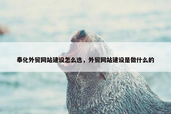 奉化外贸网站建设怎么选，外贸网站建设是做什么的