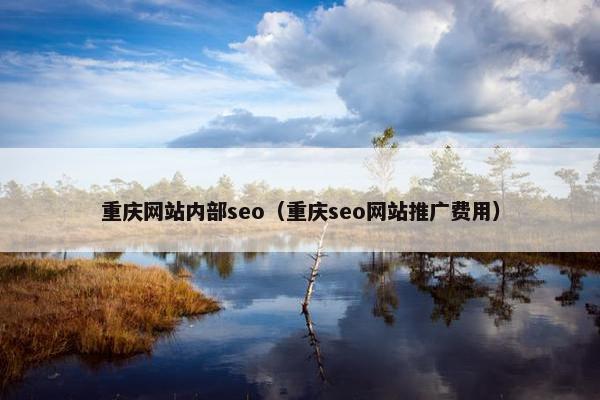 重庆网站内部seo（重庆seo网站推广费用）