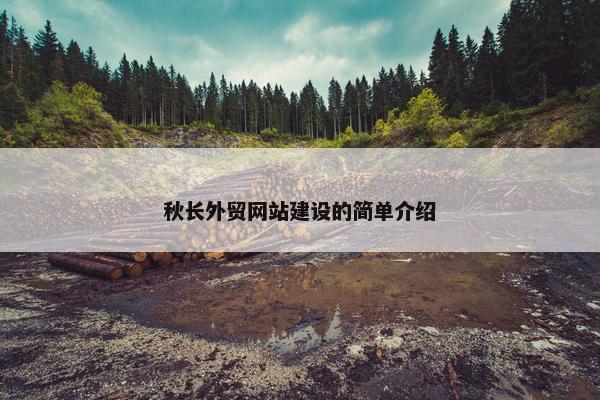 秋长外贸网站建设的简单介绍