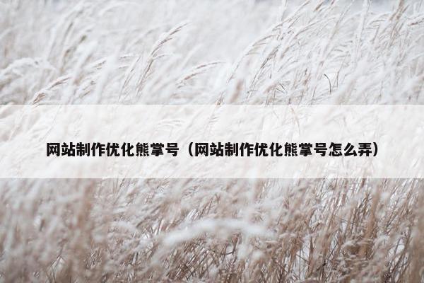 网站制作优化熊掌号（网站制作优化熊掌号怎么弄）