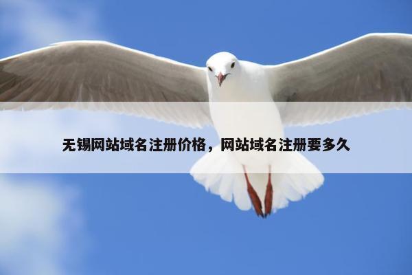 无锡网站域名注册价格，网站域名注册要多久