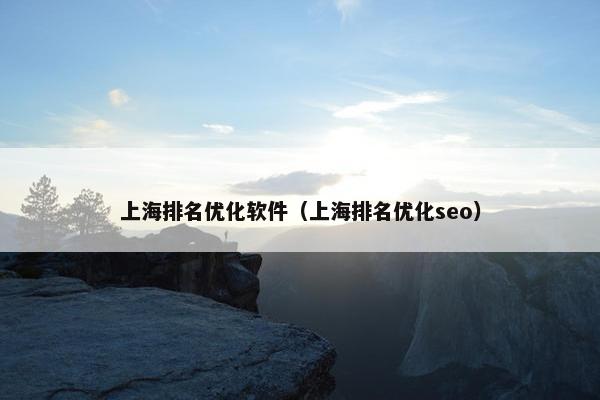 上海排名优化软件（上海排名优化seo）
