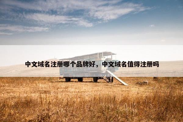 中文域名注册哪个品牌好，中文域名值得注册吗