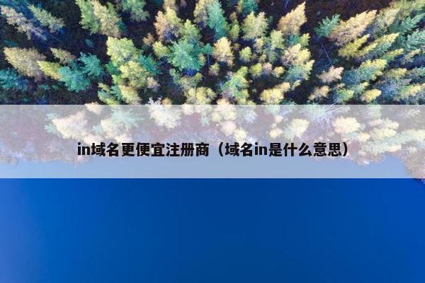 in域名更便宜注册商（域名in是什么意思）