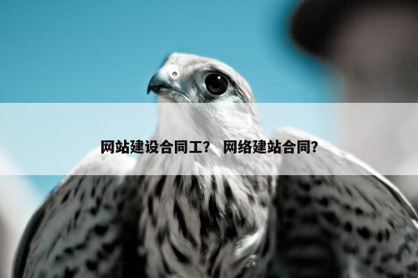 网站建设合同工？ 网络建站合同？