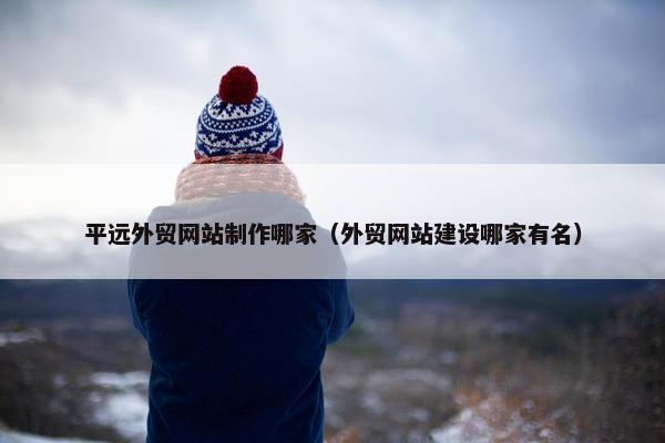 平远外贸网站制作哪家（外贸网站建设哪家有名）