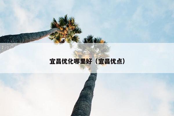 宜昌优化哪里好（宜昌优点）