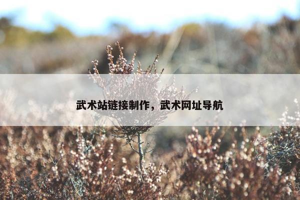 武术站链接制作，武术网址导航