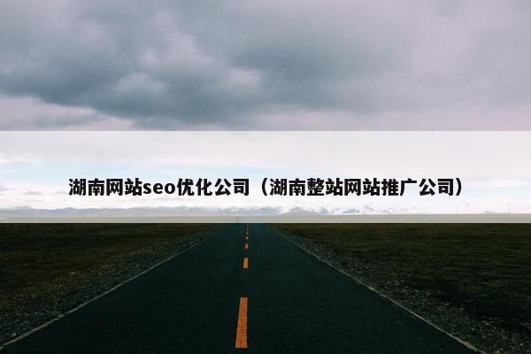 湖南网站seo优化公司（湖南整站网站推广公司）