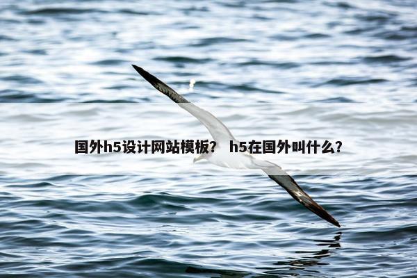 国外h5设计网站模板？ h5在国外叫什么？