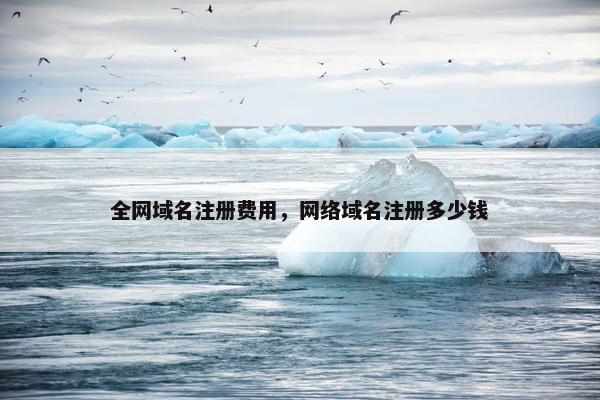 全网域名注册费用，网络域名注册多少钱