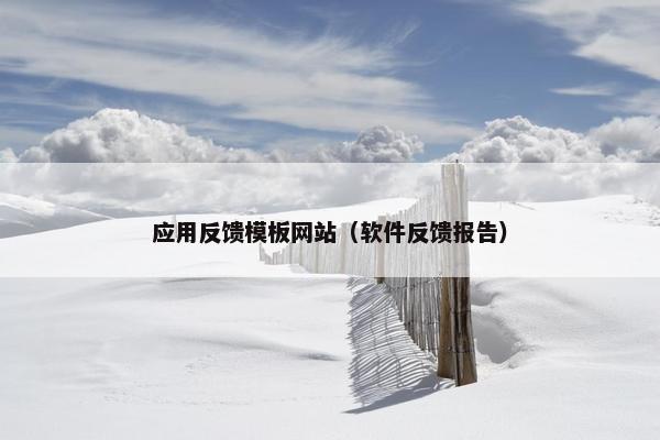 应用反馈模板网站（软件反馈报告）