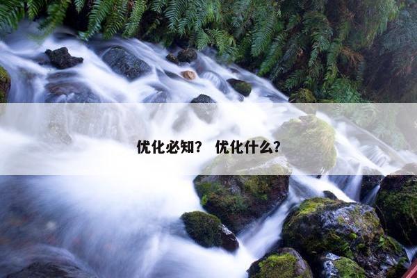 优化必知？ 优化什么？
