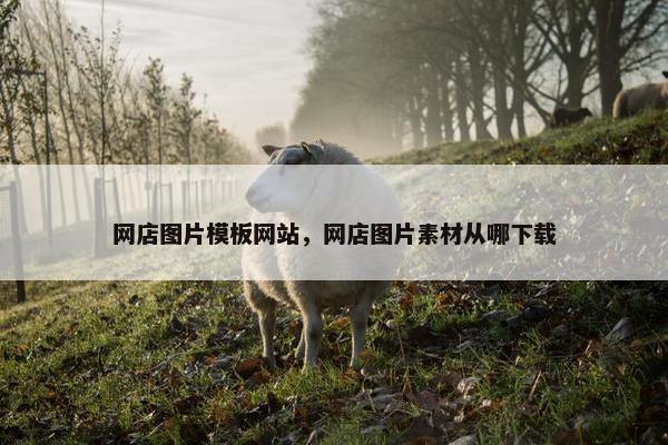 网店图片模板网站，网店图片素材从哪下载