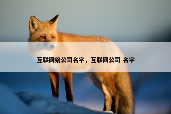 互联网络公司名字，互联网公司 名字