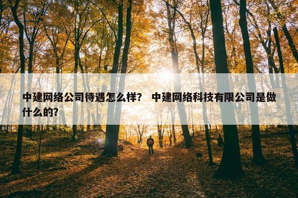 中建网络公司待遇怎么样？ 中建网络科技有限公司是做什么的？