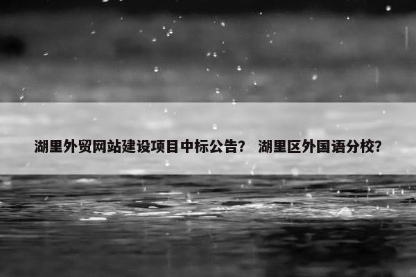 湖里外贸网站建设项目中标公告？ 湖里区外国语分校？