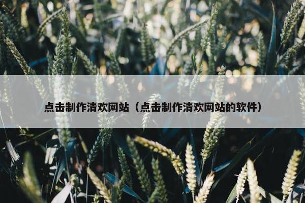 点击制作清欢网站（点击制作清欢网站的软件）