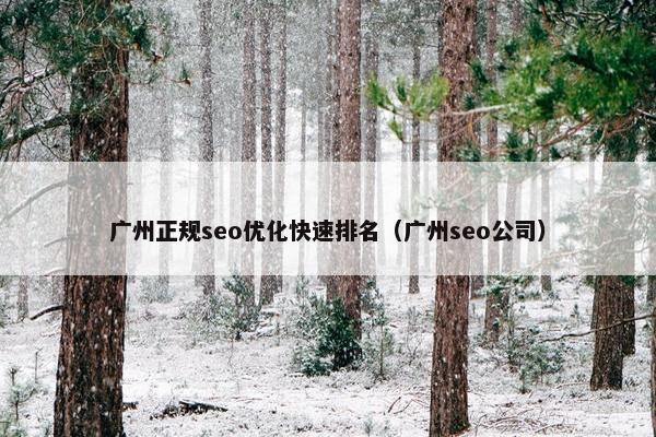 广州正规seo优化快速排名（广州seo公司）