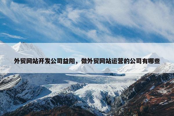 外贸网站开发公司益阳，做外贸网站运营的公司有哪些