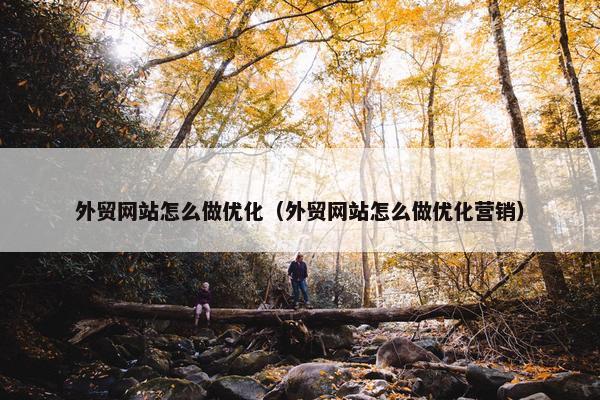 外贸网站怎么做优化（外贸网站怎么做优化营销）
