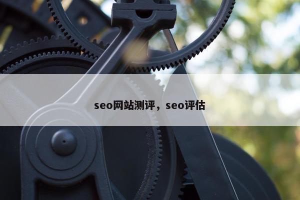 seo网站测评，seo评估