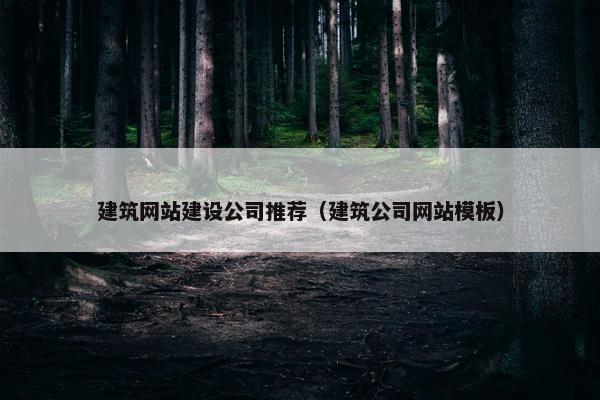 建筑网站建设公司推荐（建筑公司网站模板）