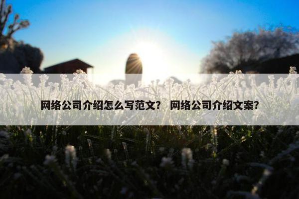 网络公司介绍怎么写范文？ 网络公司介绍文案？