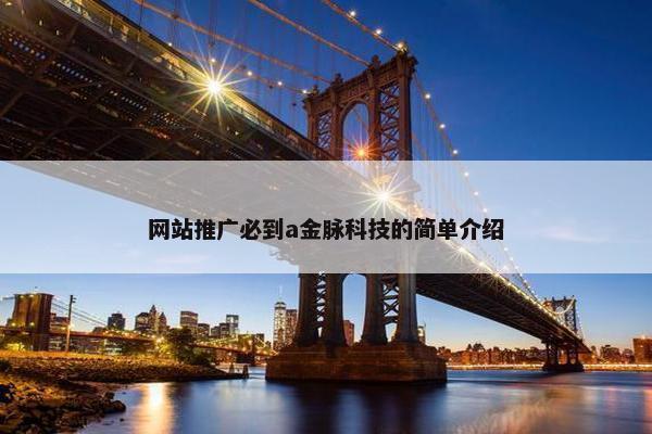 网站推广必到a金脉科技的简单介绍