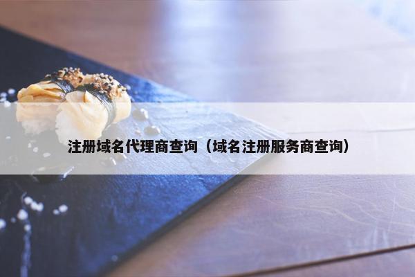 注册域名代理商查询（域名注册服务商查询）
