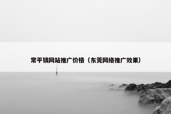 常平镇网站推广价格（东莞网络推广效果）