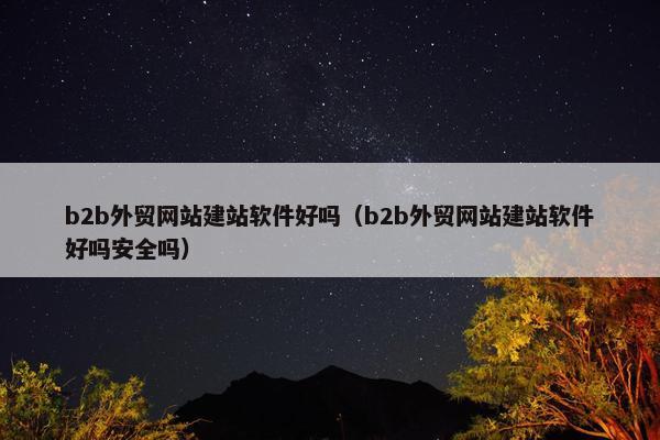 b2b外贸网站建站软件好吗（b2b外贸网站建站软件好吗安全吗）