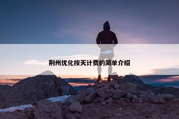 荆州优化按天计费的简单介绍