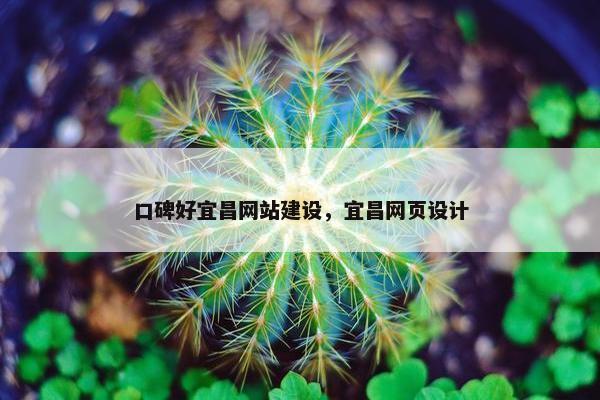 口碑好宜昌网站建设，宜昌网页设计