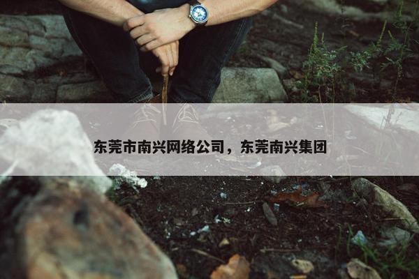 东莞市南兴网络公司，东莞南兴集团
