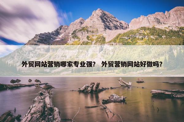 外贸网站营销哪家专业强？ 外贸营销网站好做吗？