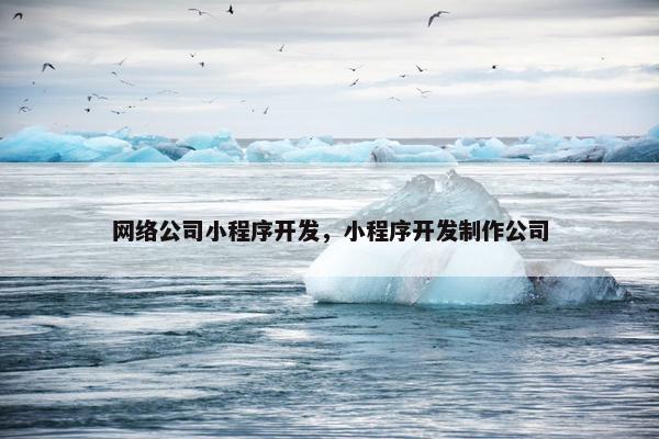 网络公司小程序开发，小程序开发制作公司
