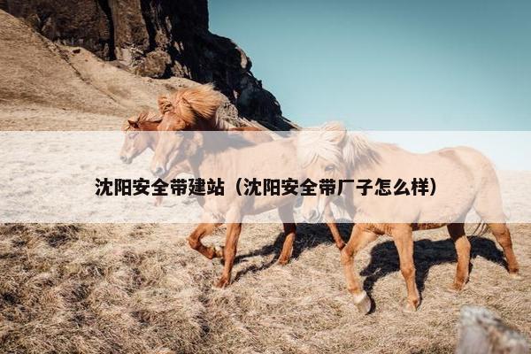 沈阳安全带建站（沈阳安全带厂子怎么样）