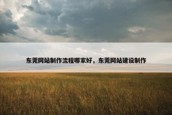 东莞网站制作流程哪家好，东莞网站建设制作
