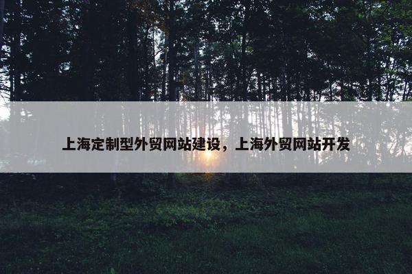 上海定制型外贸网站建设，上海外贸网站开发